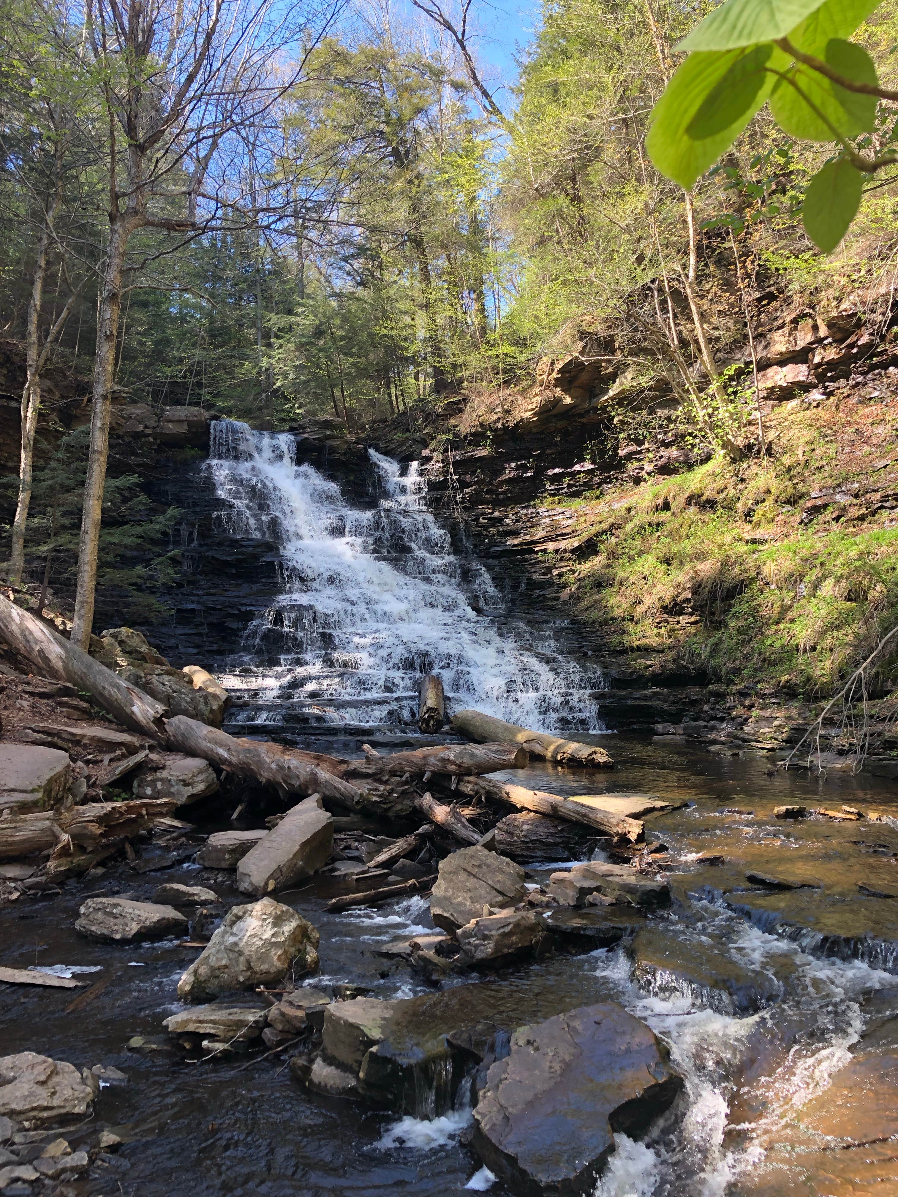 Camper-submitted photo at Ricketts Glen State Park Campground near New Columbia, PA