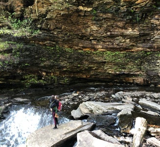 Camper-submitted photo from Ricketts Glen State Park