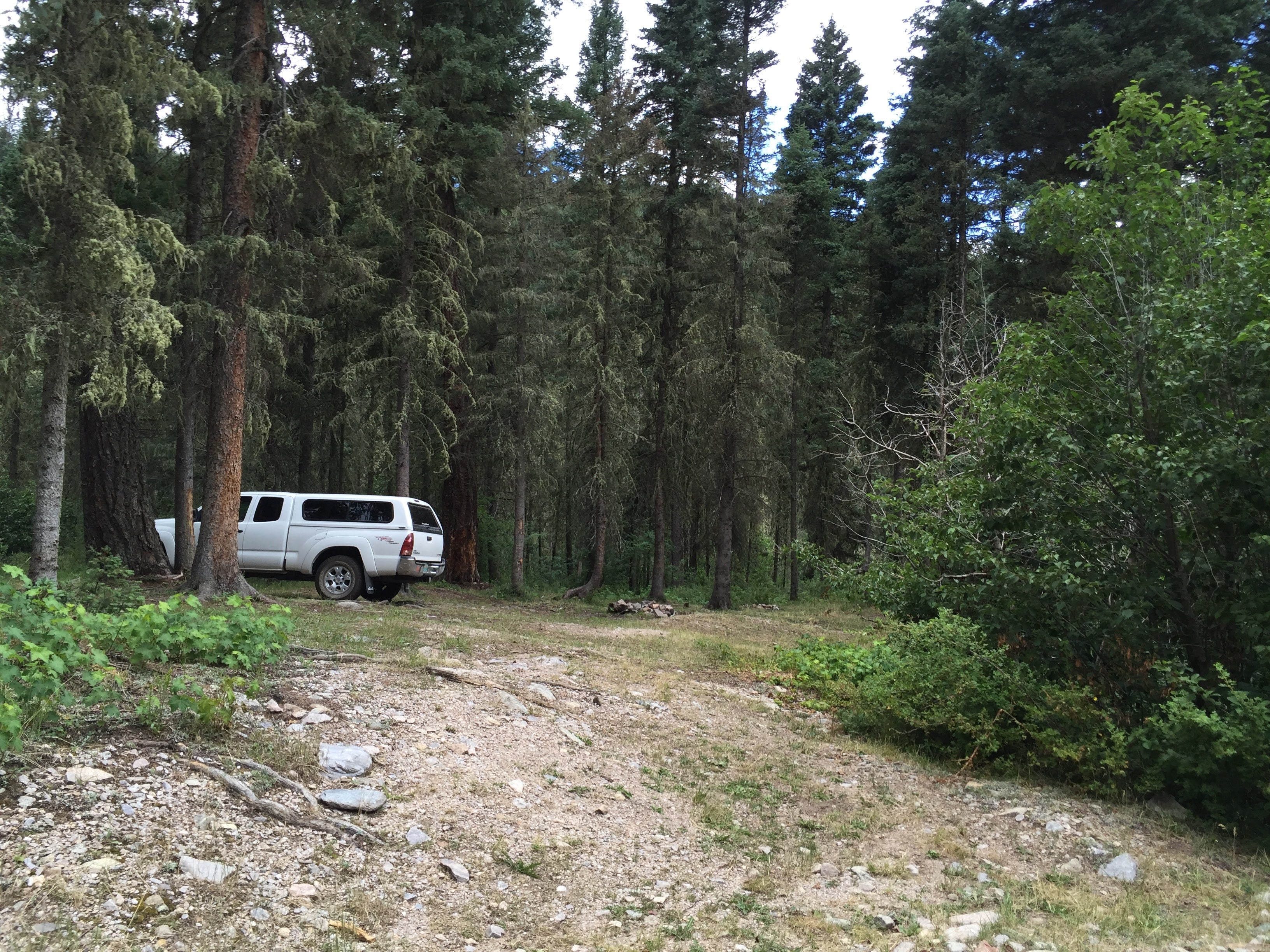 Camper submitted image from Trampas Trailhead Campground - 2