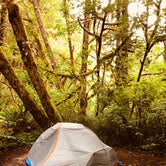 Review photo of Mill Creek Campground — Del Norte Coast Redwoods State Park by Nicole R., May 31, 2019