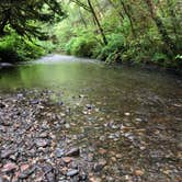 Review photo of Mill Creek Campground — Del Norte Coast Redwoods State Park by Nicole R., May 31, 2019