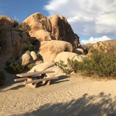 Review photo of Indian Cove Campground — Joshua Tree National Park by Deborah C., May 31, 2019