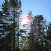 Review photo of D.H. Day Campground — Sleeping Bear Dunes National Lakeshore by Jennifer G., May 31, 2019