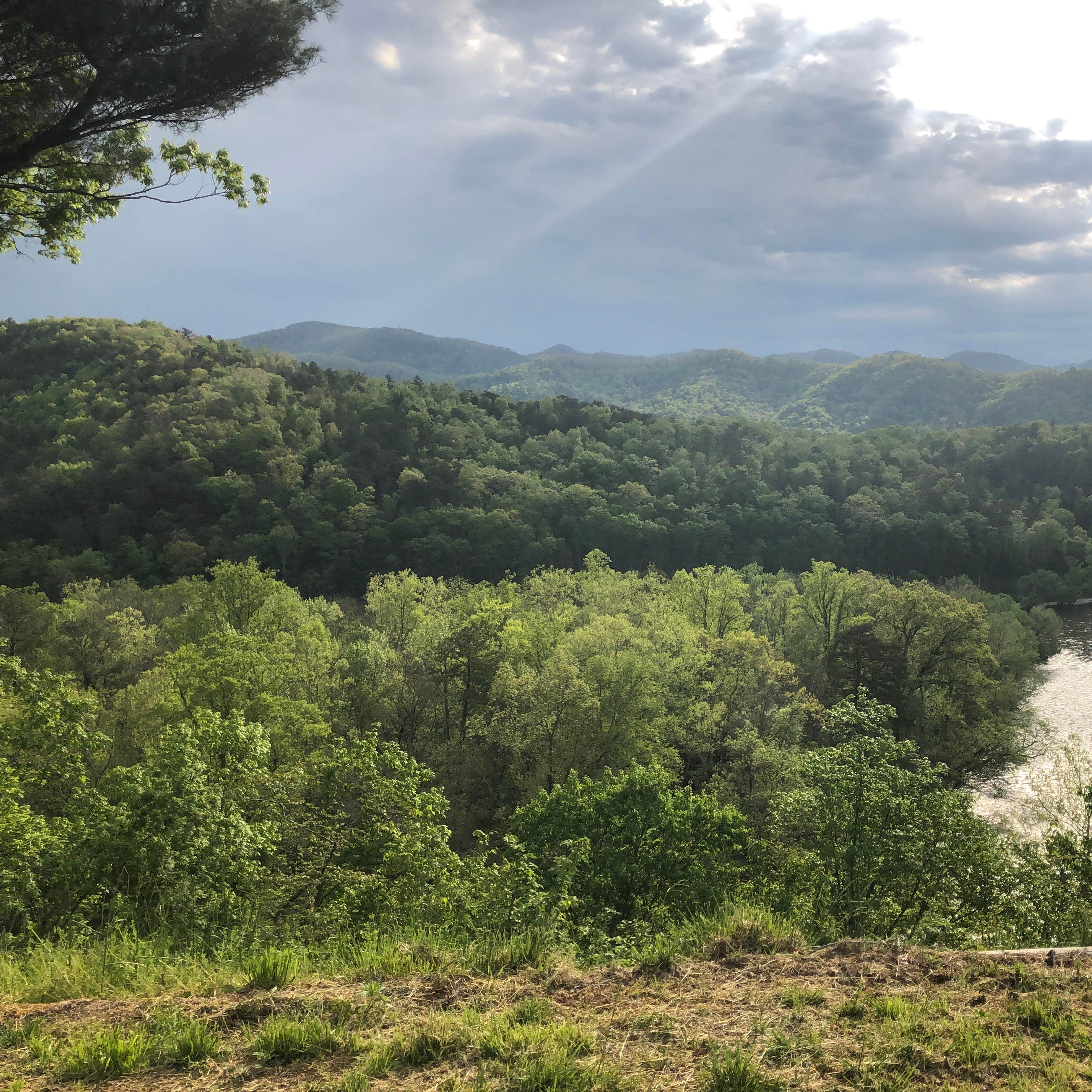 Paint Rock Farm Glamping Retreat Camping The Dyrt