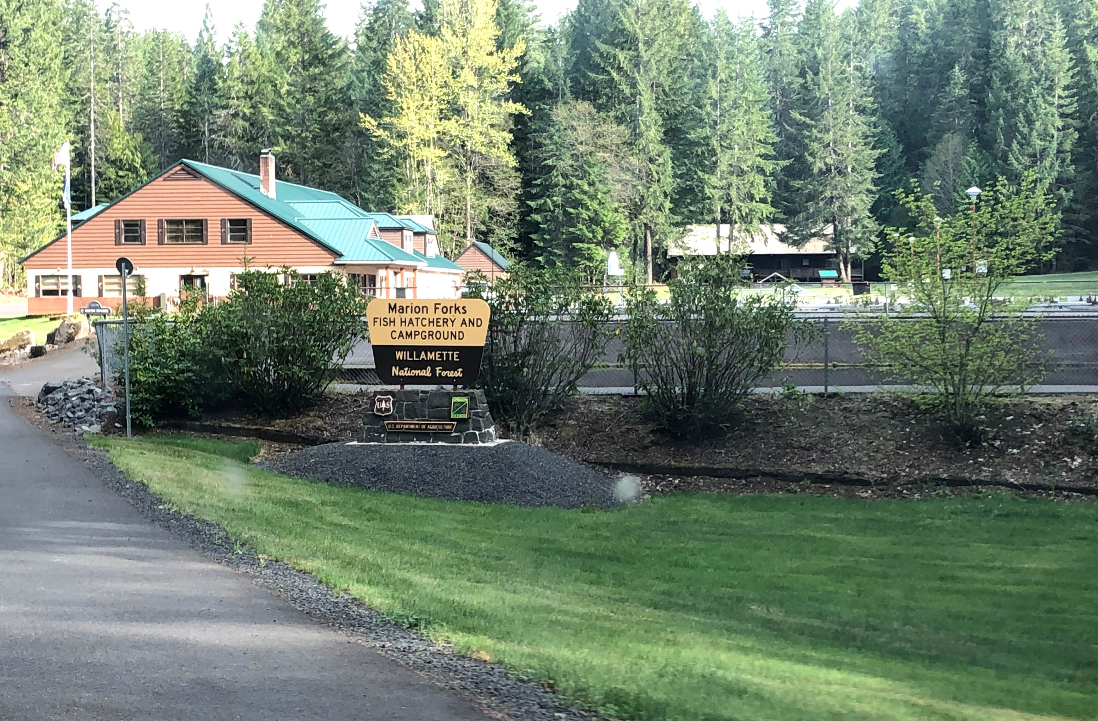 Marion Forks Campground The Dyrt