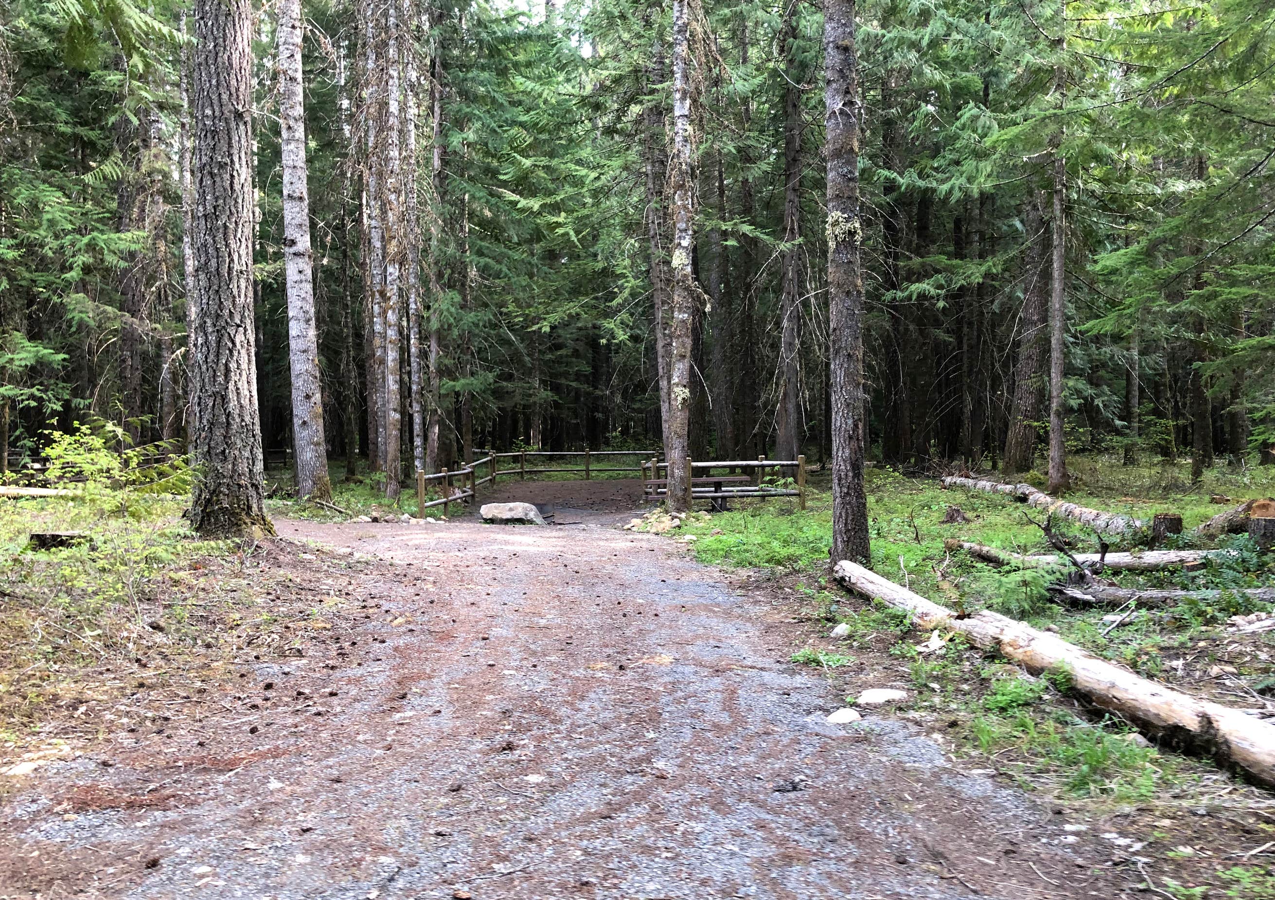 Marion Forks Campground Camping The Dyrt