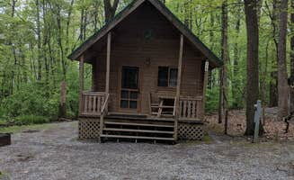 Phinon W.'s photo of a cabin at Spring Gulch Resort Campground near Bear, DE