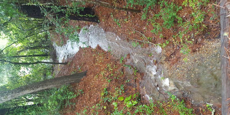 Camper submitted image from Camp Mohawk County Park