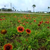 Review photo of Quintana Beach County Park by Jeannette V., May 31, 2019