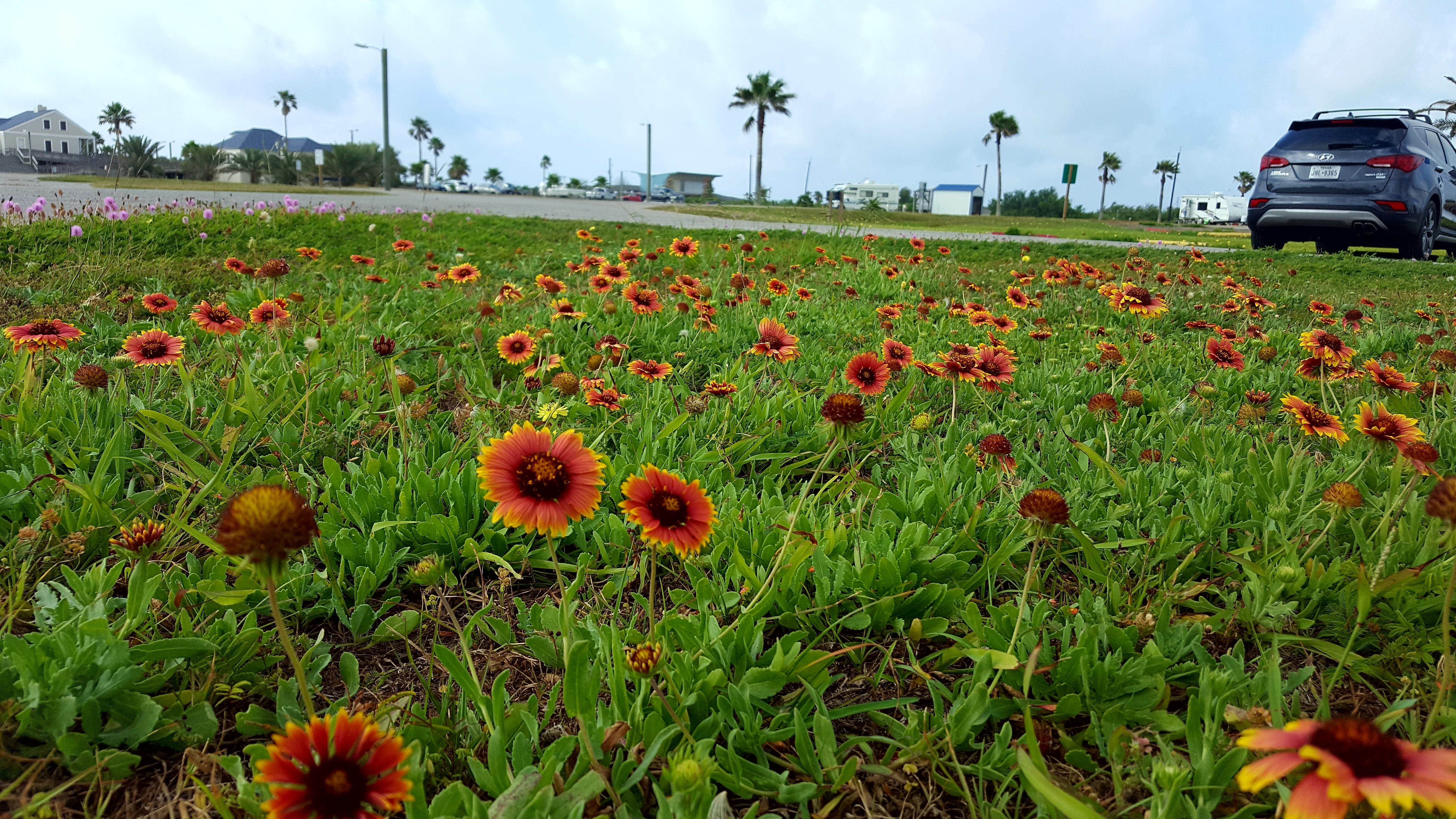 Camper submitted image from Quintana Beach County Park - 2