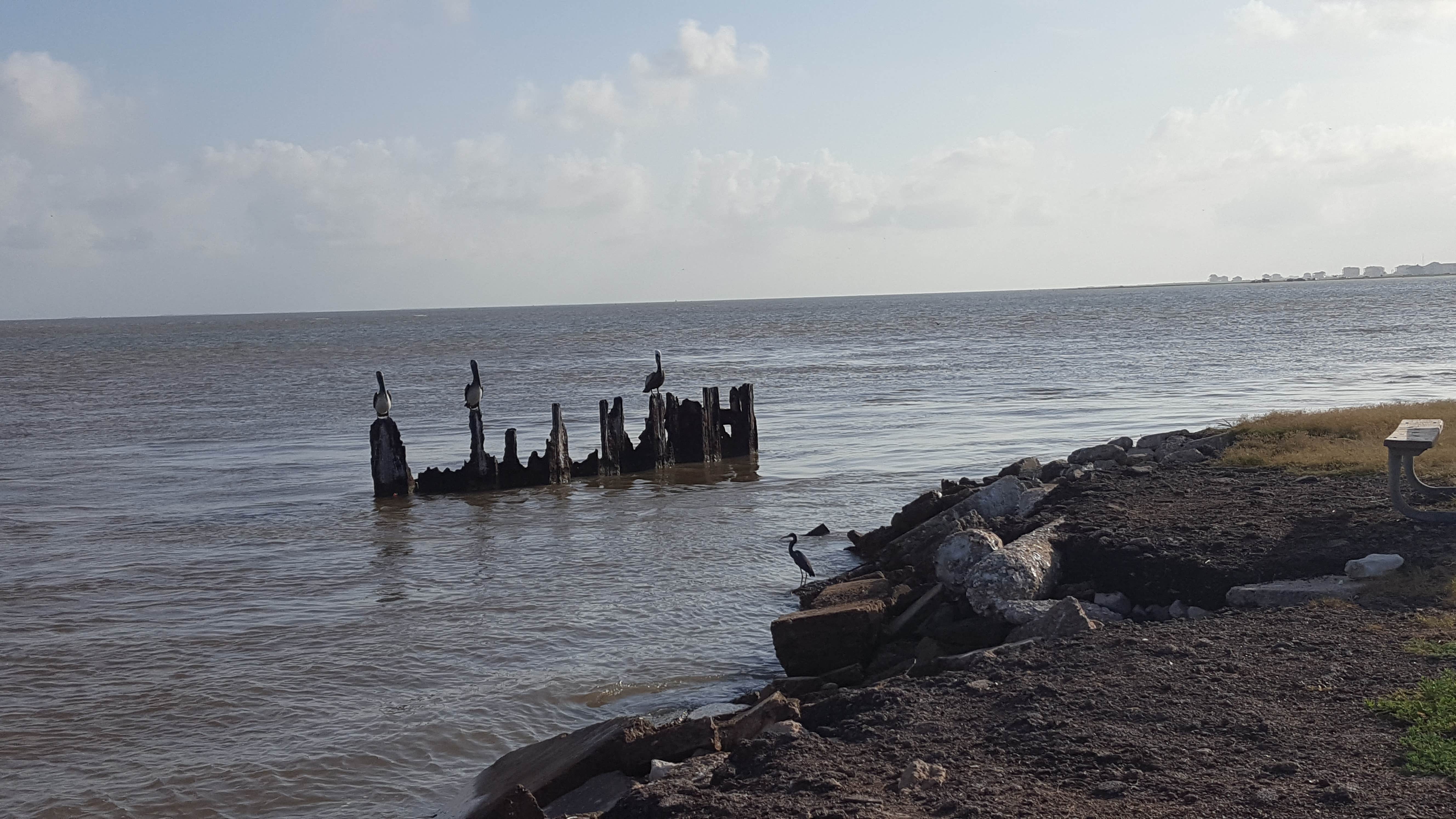 Camper-submitted photo at San Luis Pass County Park near Jamaica Beach, TX