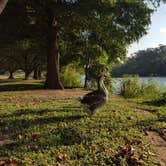 Review photo of Blanco State Park Campground by Jeannette V., May 31, 2019