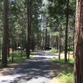 Review photo of Wawona Campground — Yosemite National Park by Eric H., May 31, 2019