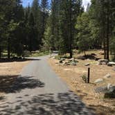 Review photo of Wawona Campground — Yosemite National Park by Eric H., May 31, 2019