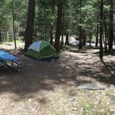 Review photo of Wawona Campground — Yosemite National Park by Eric H., May 31, 2019