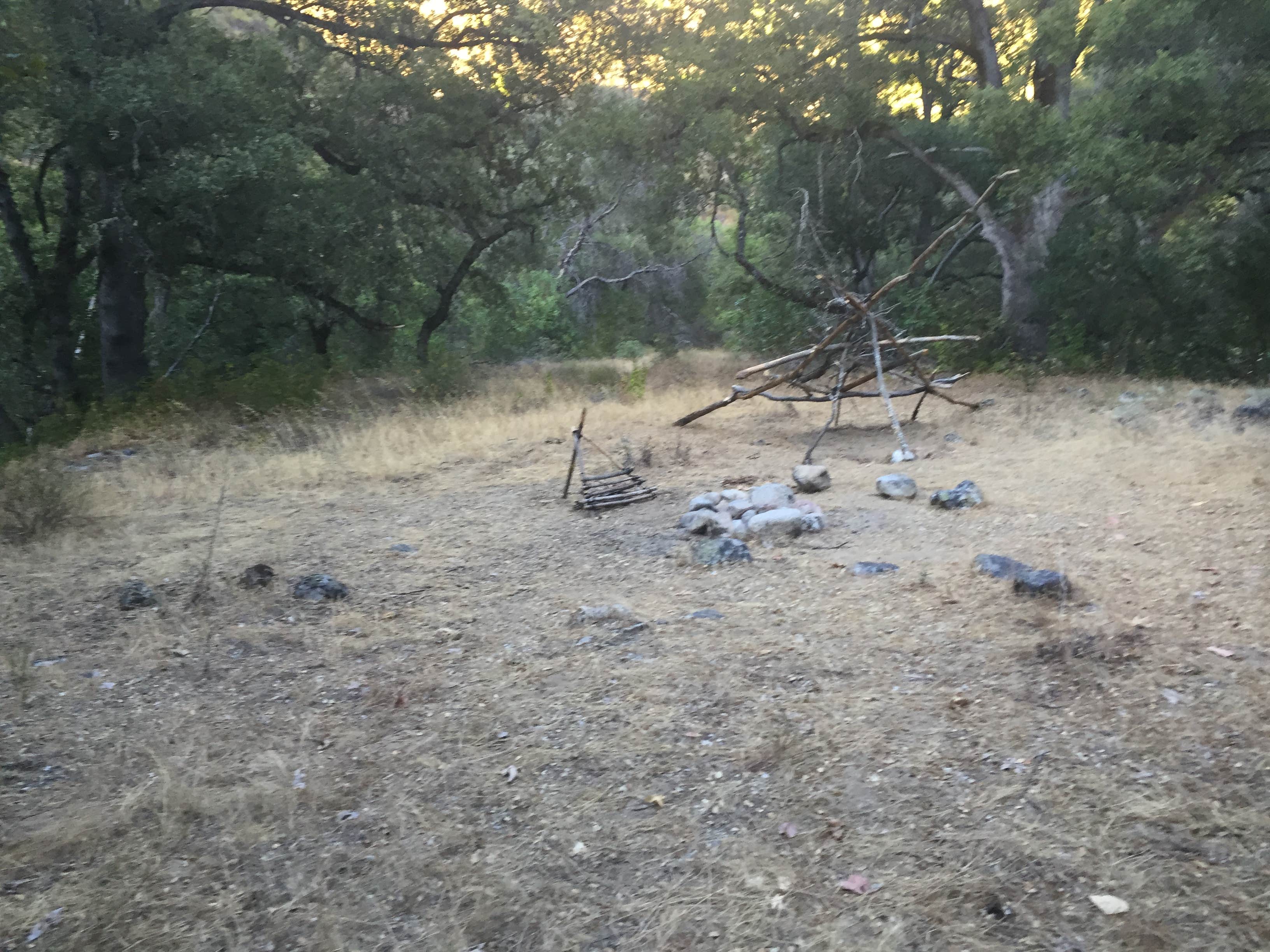 Camper submitted image from Bluff Camp - 5