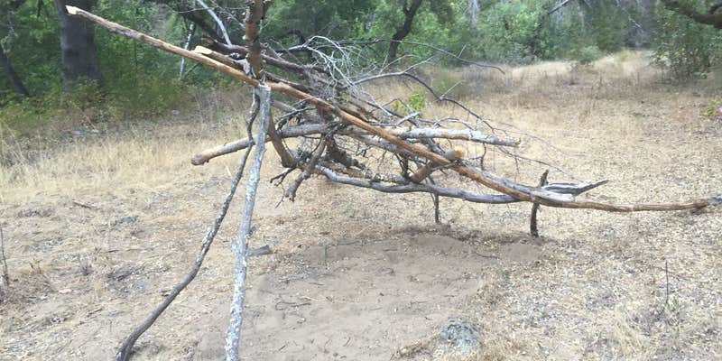 Camper submitted image from Bluff Camp