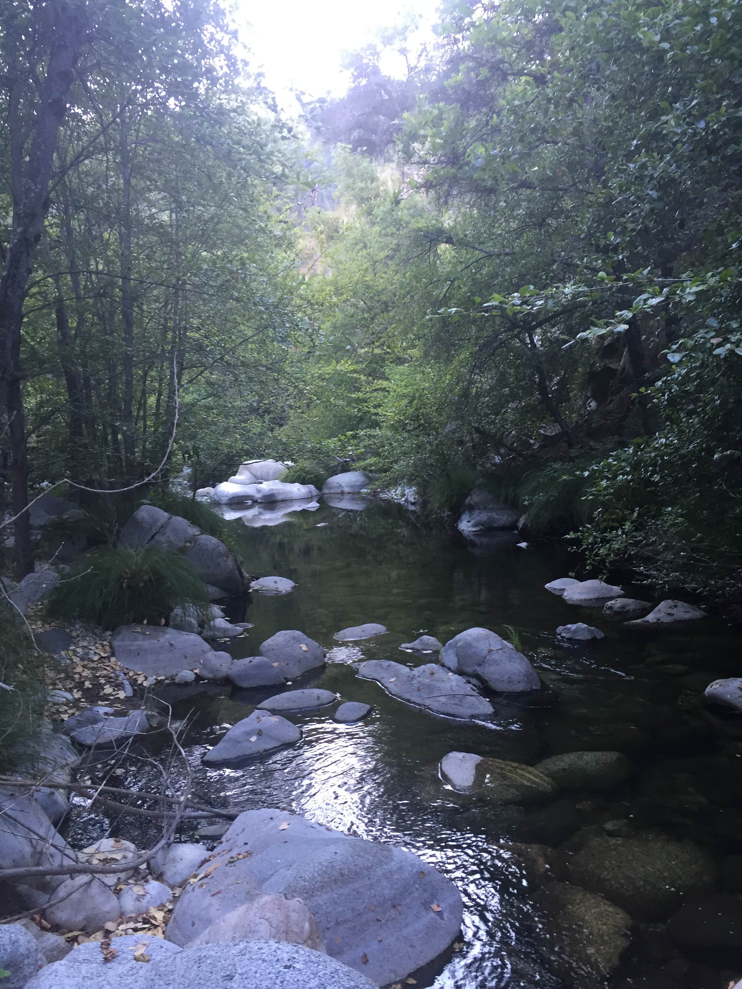 Camper-submitted photo at Bluff Camp near Pinnacles National Park