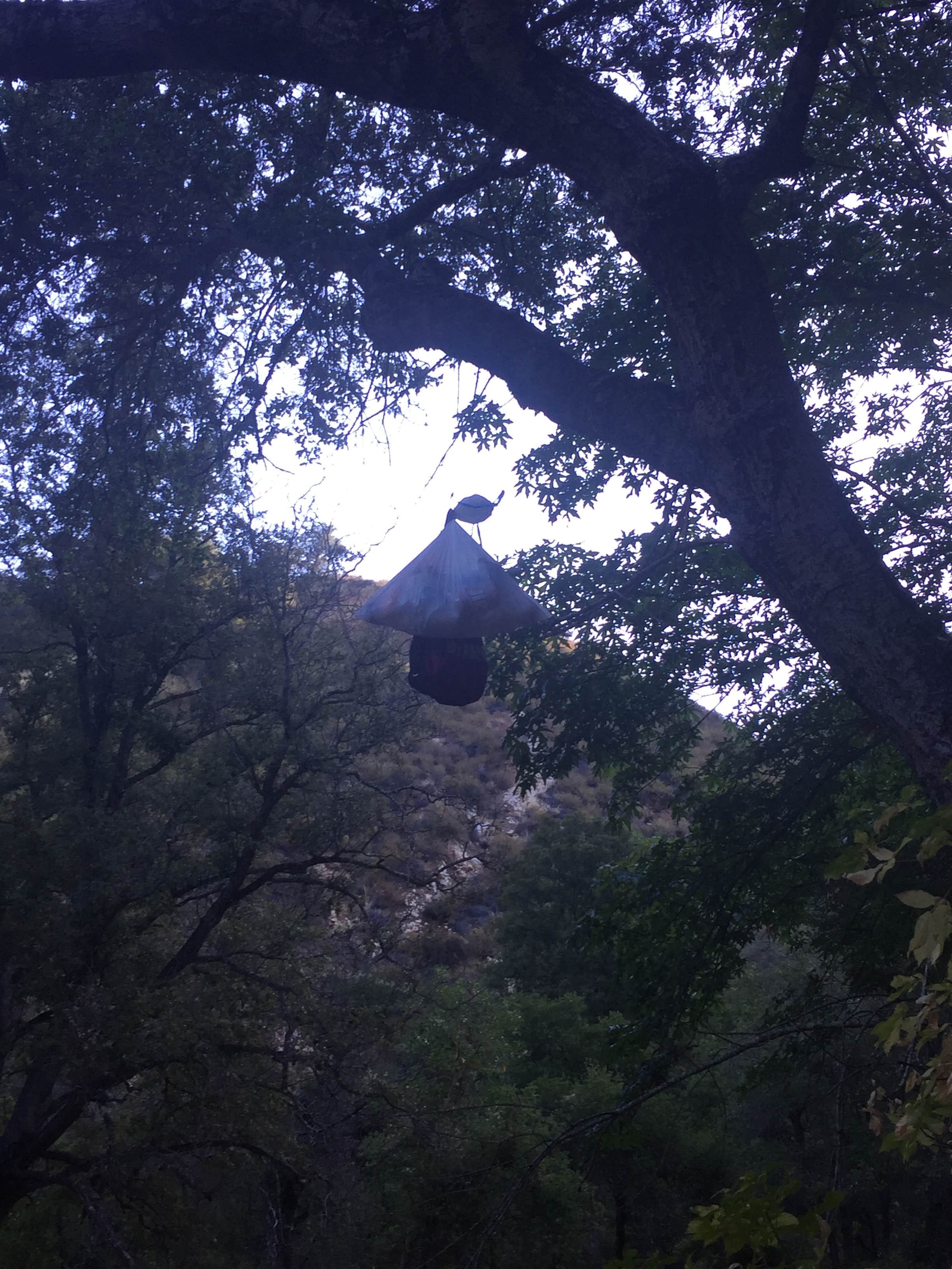 Camper-submitted photo at Bluff Camp near Pinnacles National Park