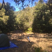 Review photo of Bluff Camp by Austin C., May 31, 2019