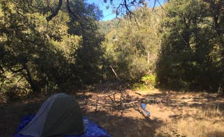 Austin C.'s photo at Bluff Camp near Seaside, CA