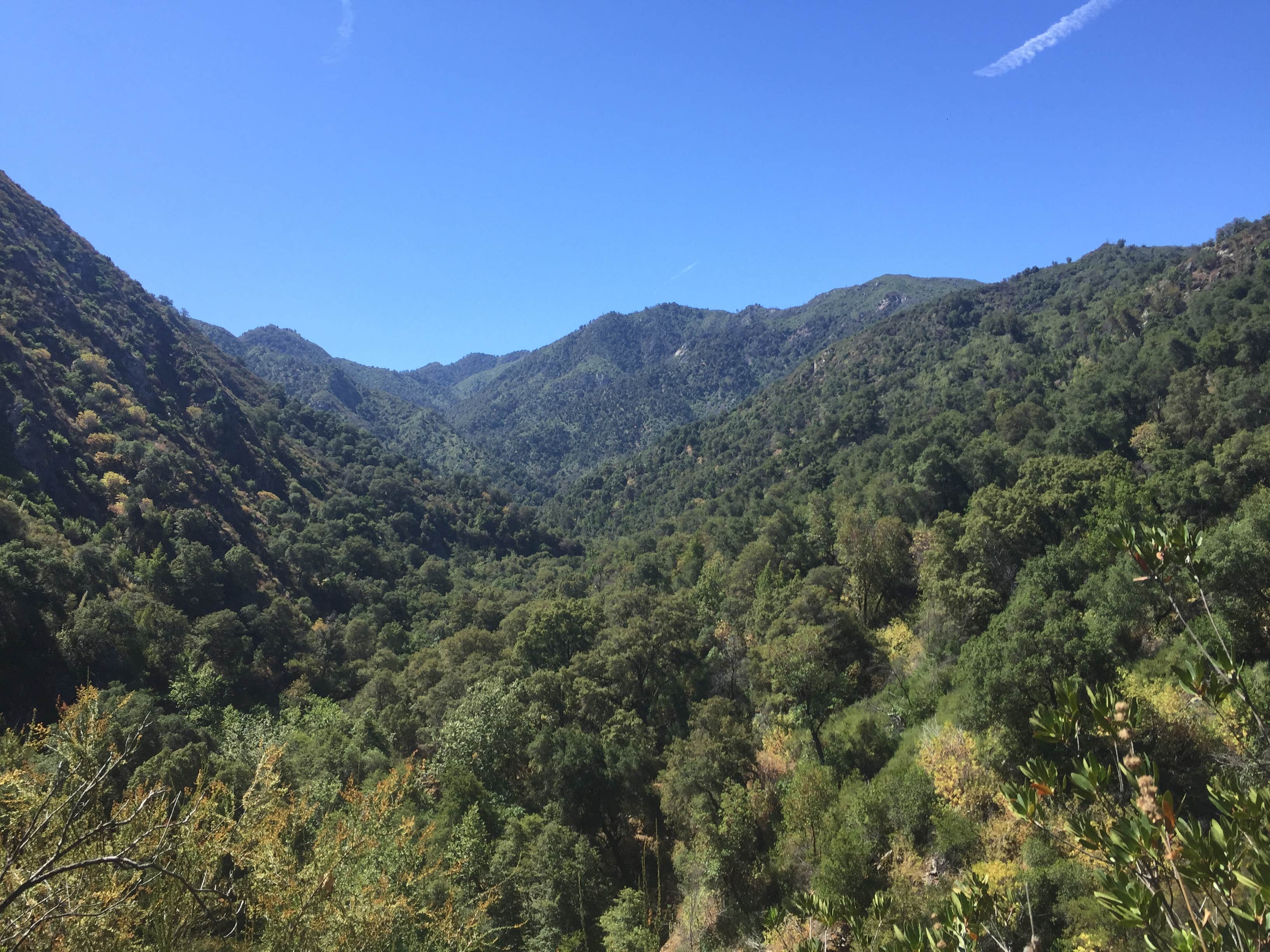 Camper-submitted photo at Bluff Camp near Pinnacles National Park