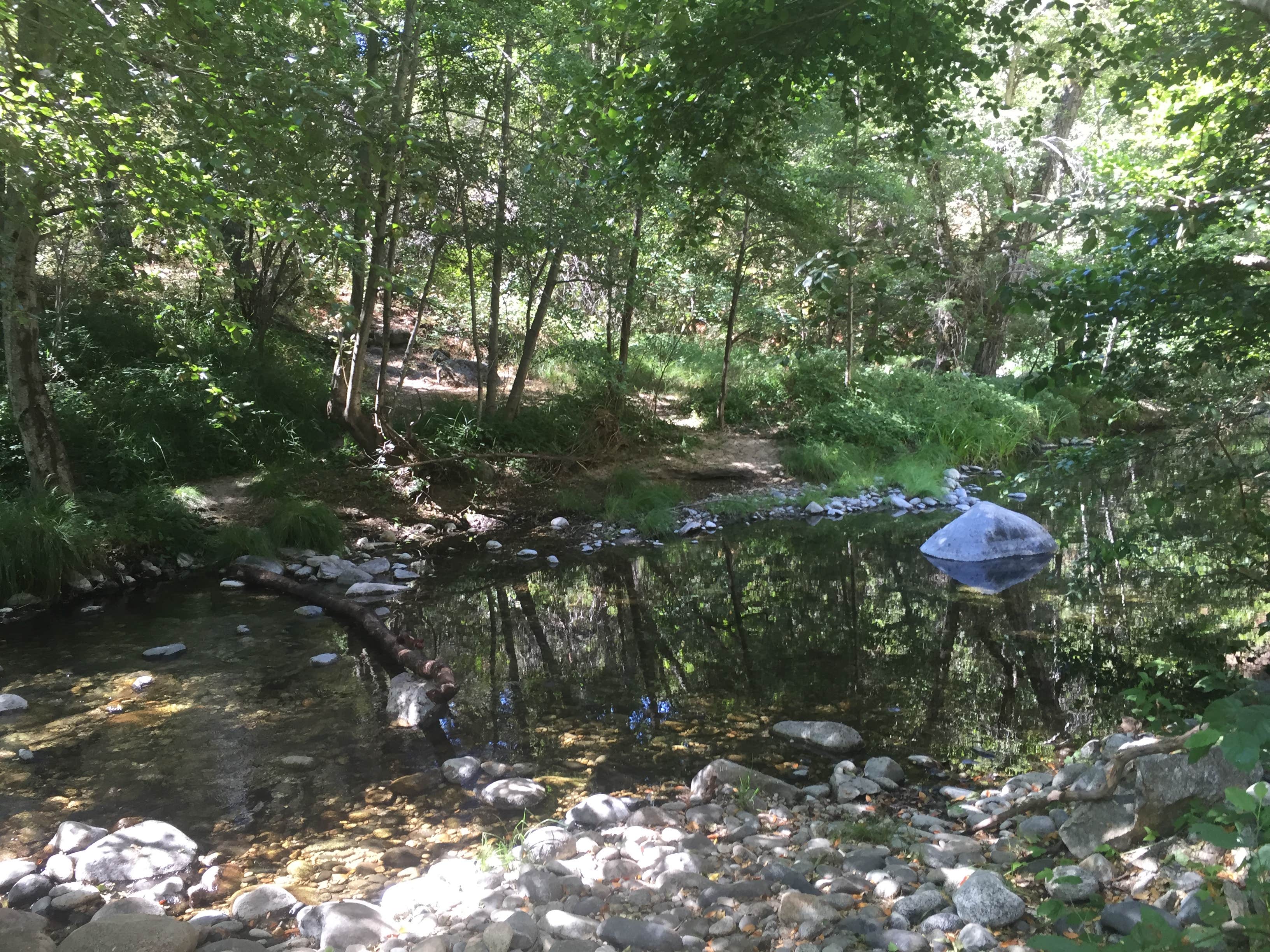 Camper submitted image from Carmel River Backcountry Camp - 3