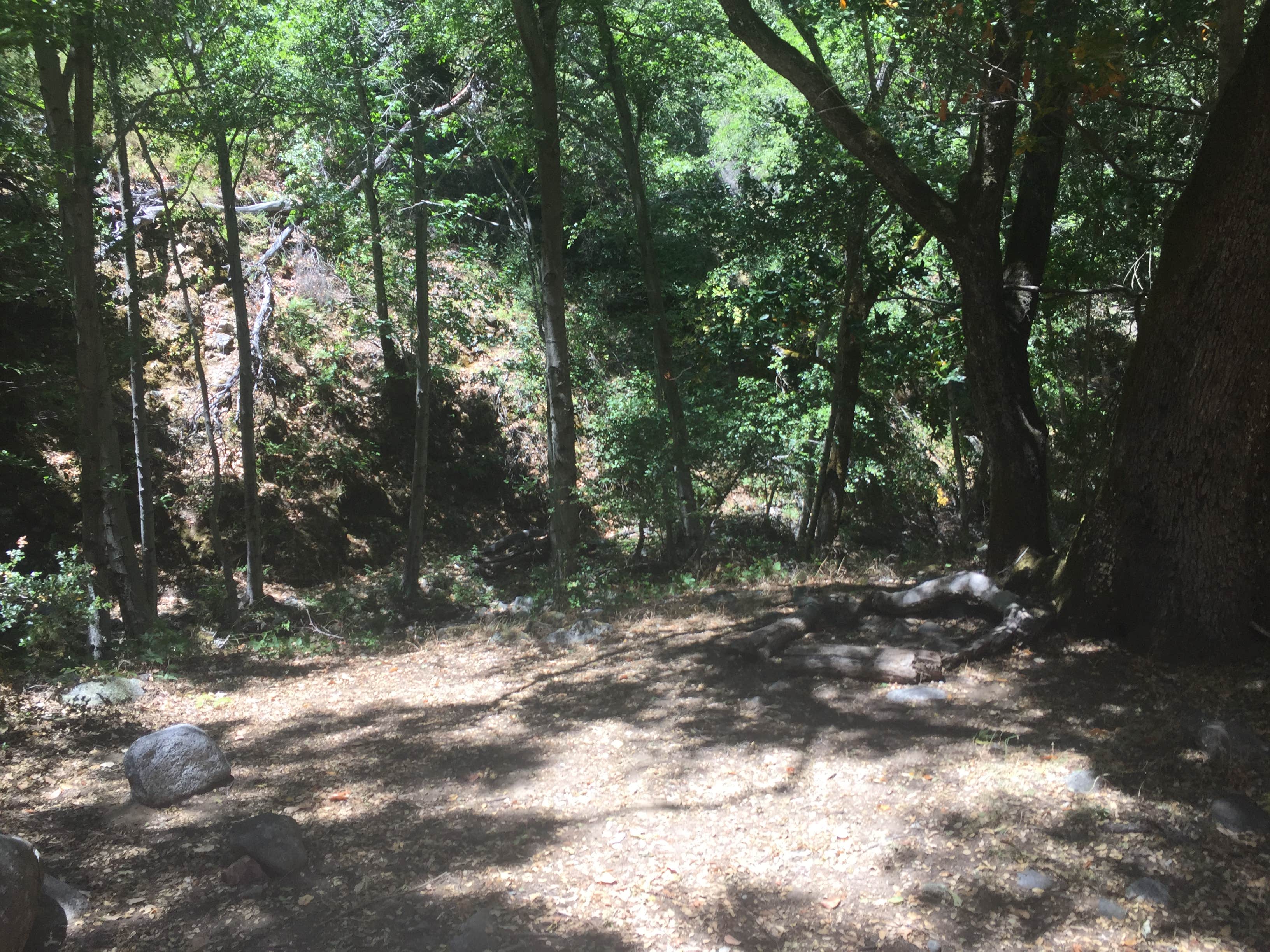 Camper-submitted photo at Carmel River Backcountry Camp near Fort Hunter Liggett, CA