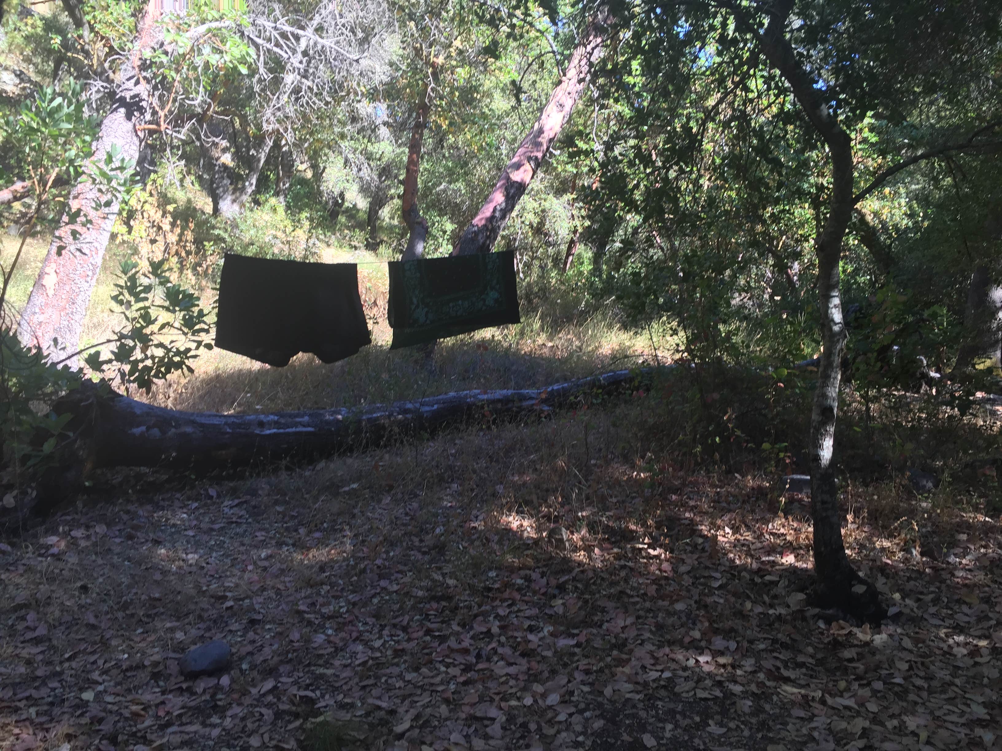 Camper-submitted photo at Carmel River Backcountry Camp near Fort Hunter Liggett, CA