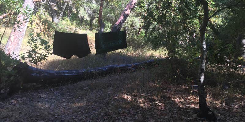 Camper submitted image from Carmel River Backcountry Camp