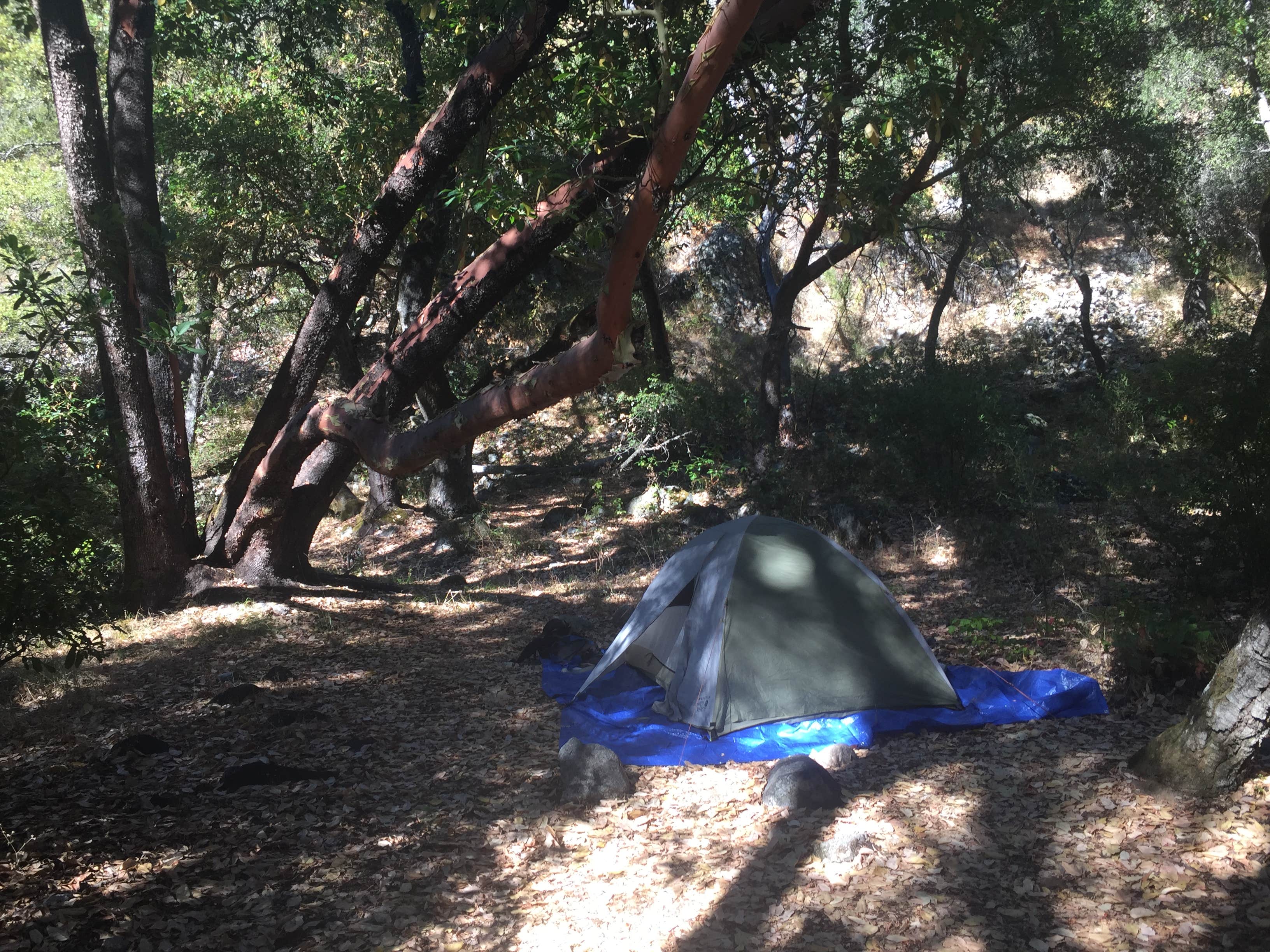 Austin C.'s photo of tent camping at Carmel River Backcountry Camp near Fort Hunter Liggett, CA