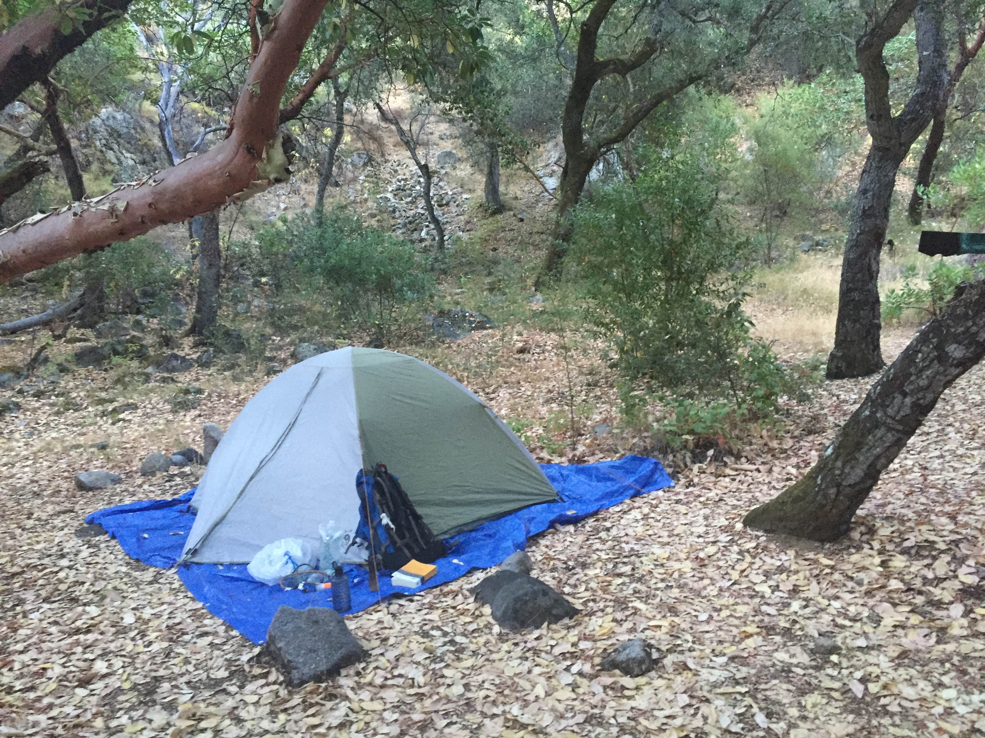 Camper submitted image from Carmel River Backcountry Camp - 4