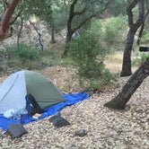 Review photo of Carmel River Backcountry Camp by Austin C., May 31, 2019