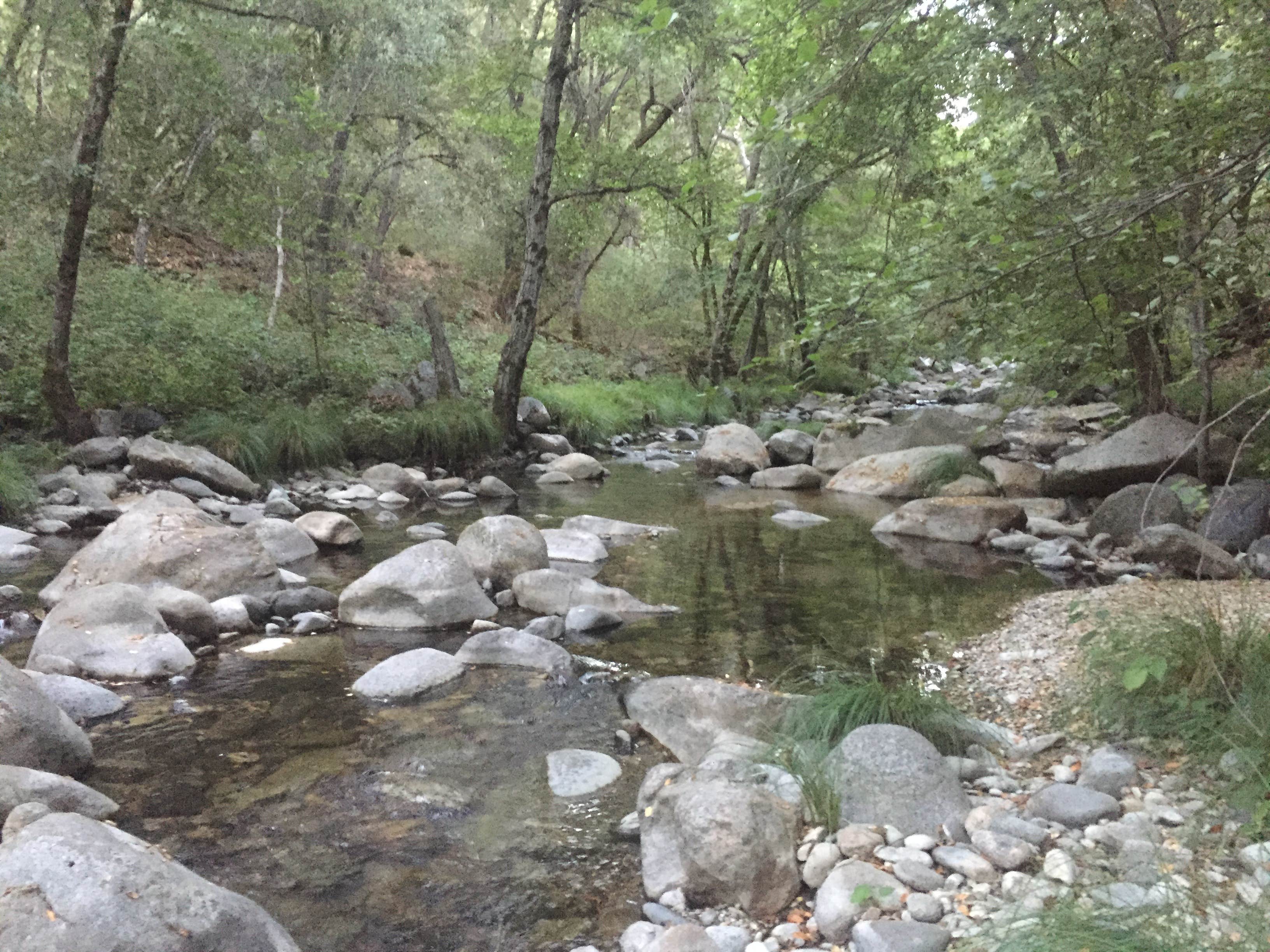 Camper-submitted photo at Carmel River Backcountry Camp near Fort Hunter Liggett, CA