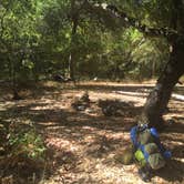 Review photo of Carmel River Backcountry Camp by Austin C., May 31, 2019