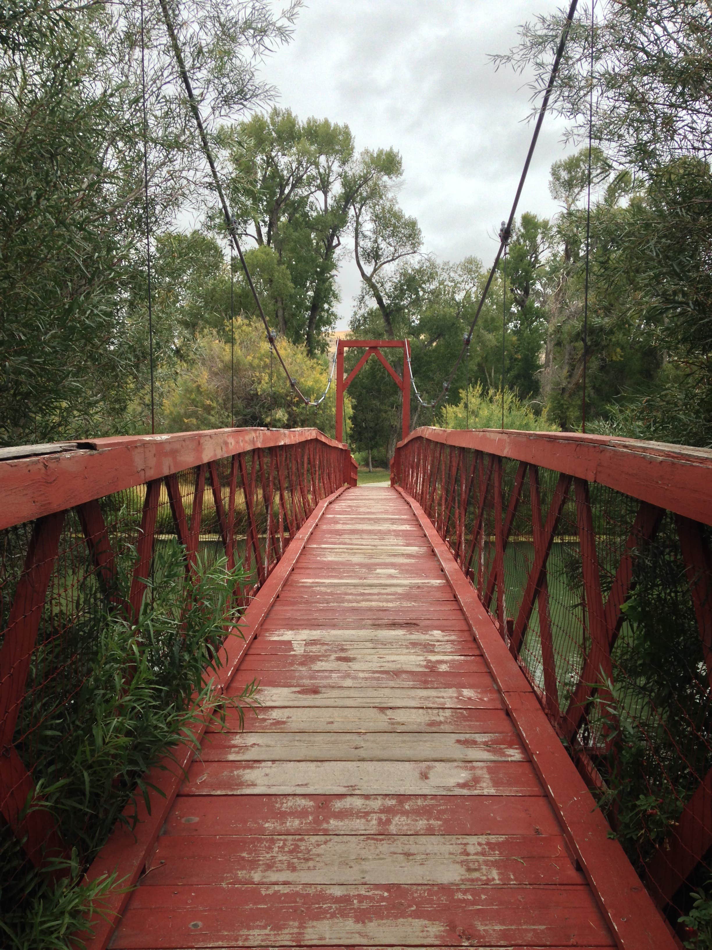 Camper submitted image from Barretts Park - USBR - 3