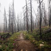 Review photo of Basin Campground by Alan B., May 31, 2019