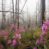 Review photo of Basin Campground by Alan B., May 31, 2019