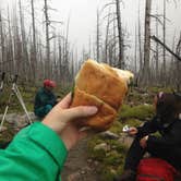 Review photo of Basin Campground by Alan B., May 31, 2019