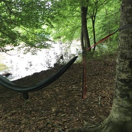 Hammock camping along Long Creek