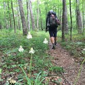 Review photo of Long Creek Campsite on the Eagle Rock Loop by Troy W., May 31, 2019