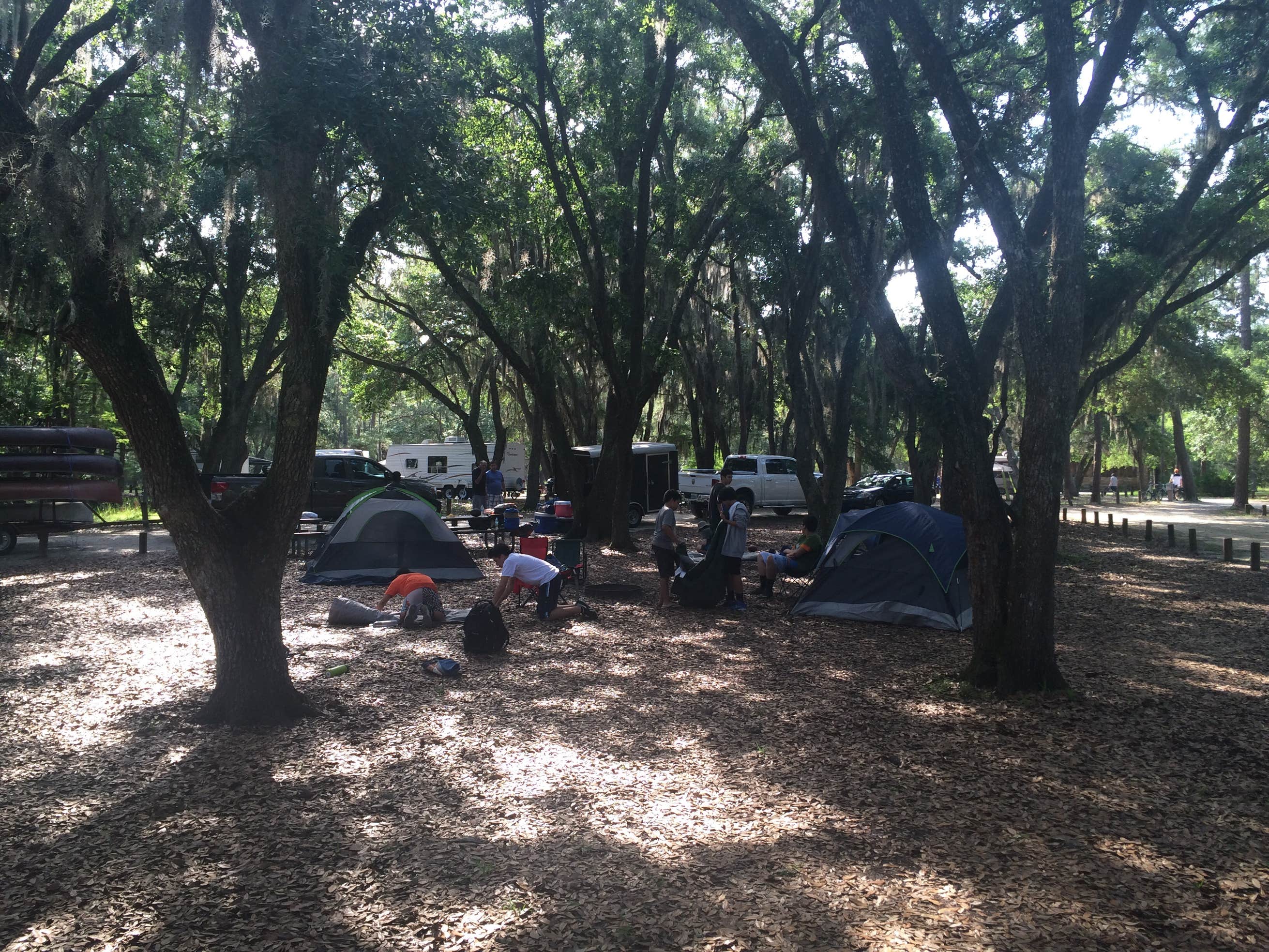 Moss Park Campground The Dyrt