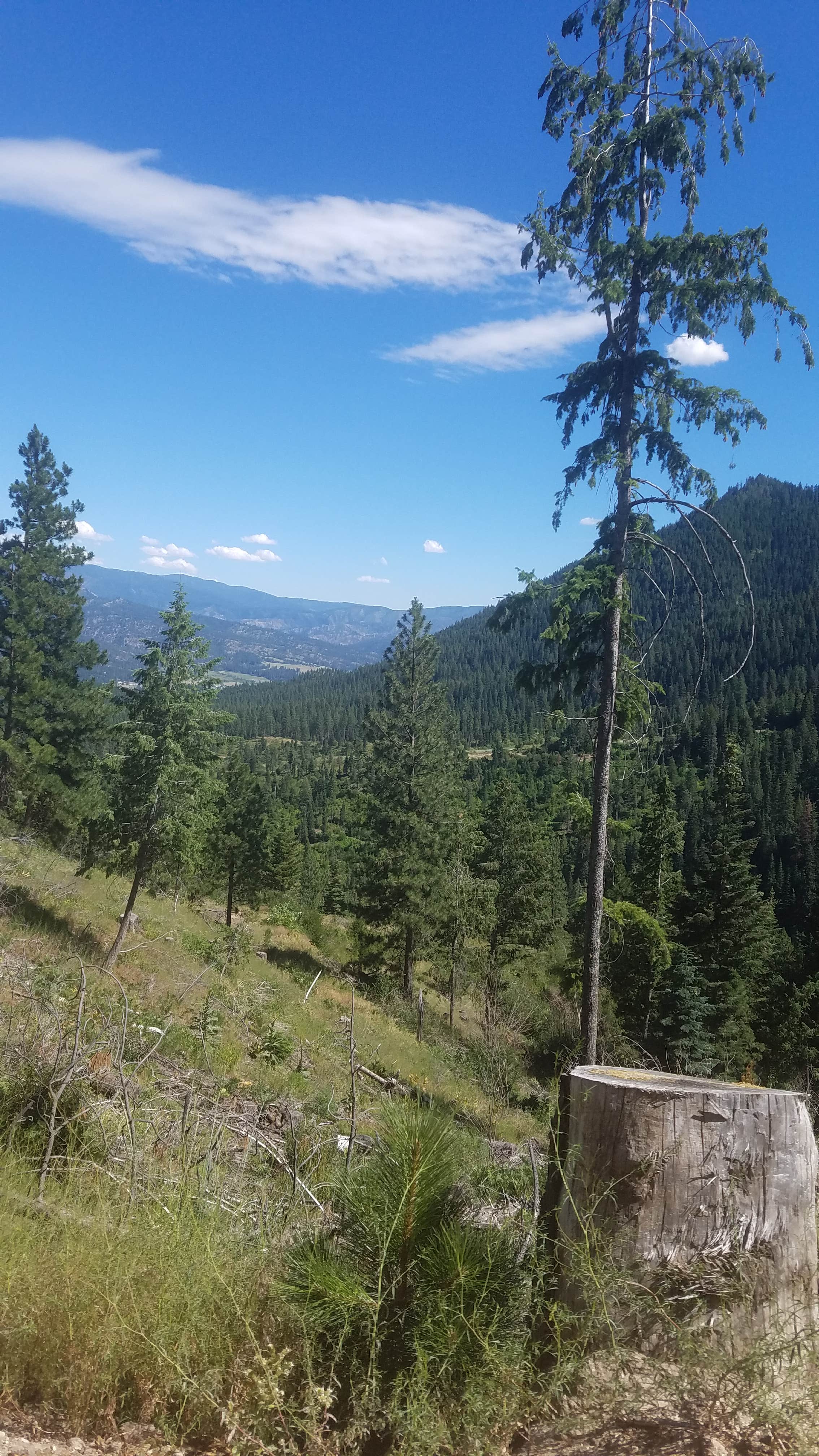 River Side Id Boise The Dyrt