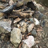 Review photo of Long Creek Campsite on the Eagle Rock Loop by Troy W., May 31, 2019