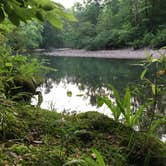 Review photo of Long Creek Campsite on the Eagle Rock Loop by Troy W., May 31, 2019