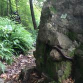 Review photo of Long Creek Campsite on the Eagle Rock Loop by Troy W., May 31, 2019