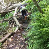 Review photo of Long Creek Campsite on the Eagle Rock Loop by Troy W., May 31, 2019