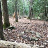 Review photo of Sipsey Wilderness Backcountry Site (Trail 207 Site C) by Asher K., May 31, 2019