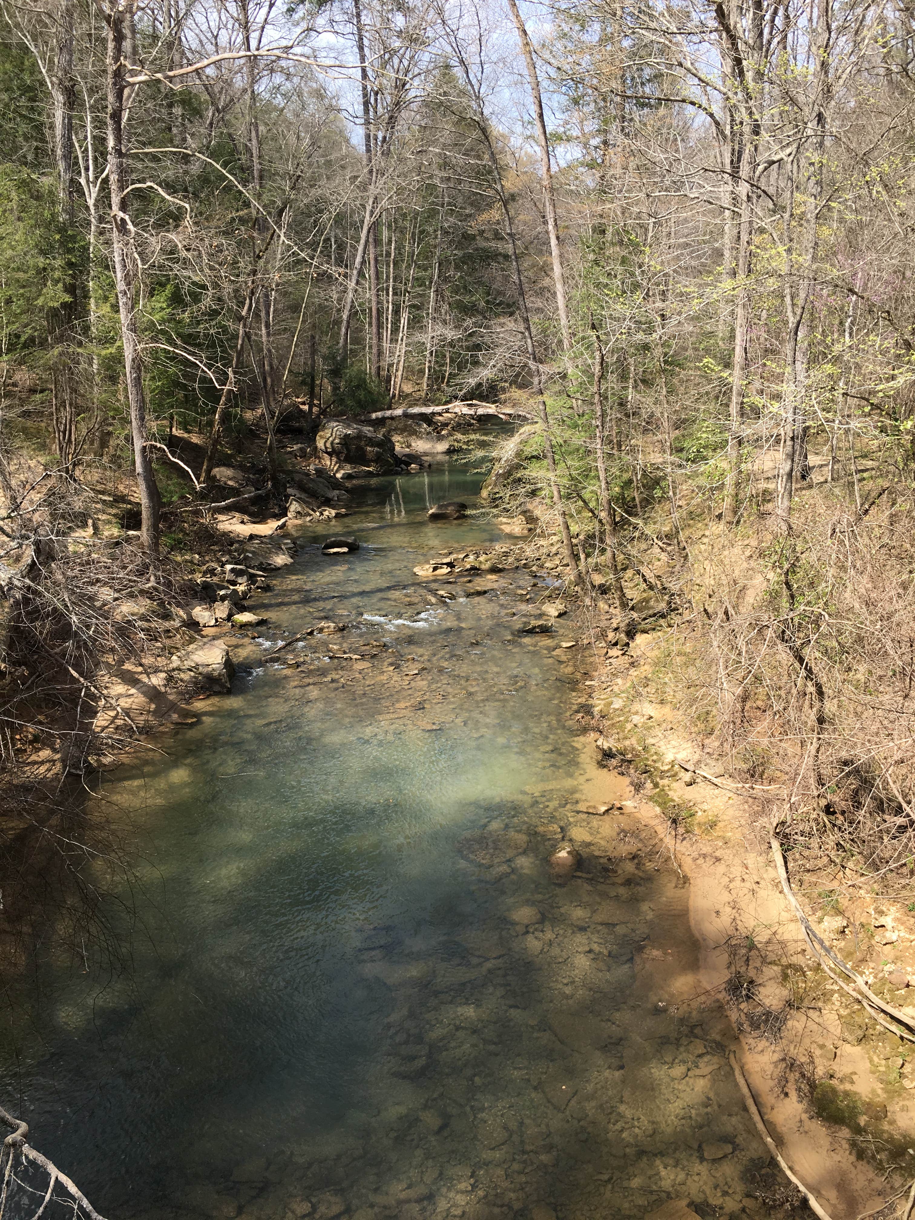 Camper-submitted photo at Sipsey Wilderness Backcountry Site (Trail 207 Site C) near Cherokee, AL