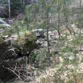 Review photo of Sipsey Wilderness Backcountry Site (Trail 207 Site C) by Asher K., May 31, 2019